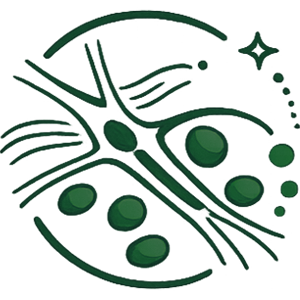 Circulation and oxygen delivery icon
